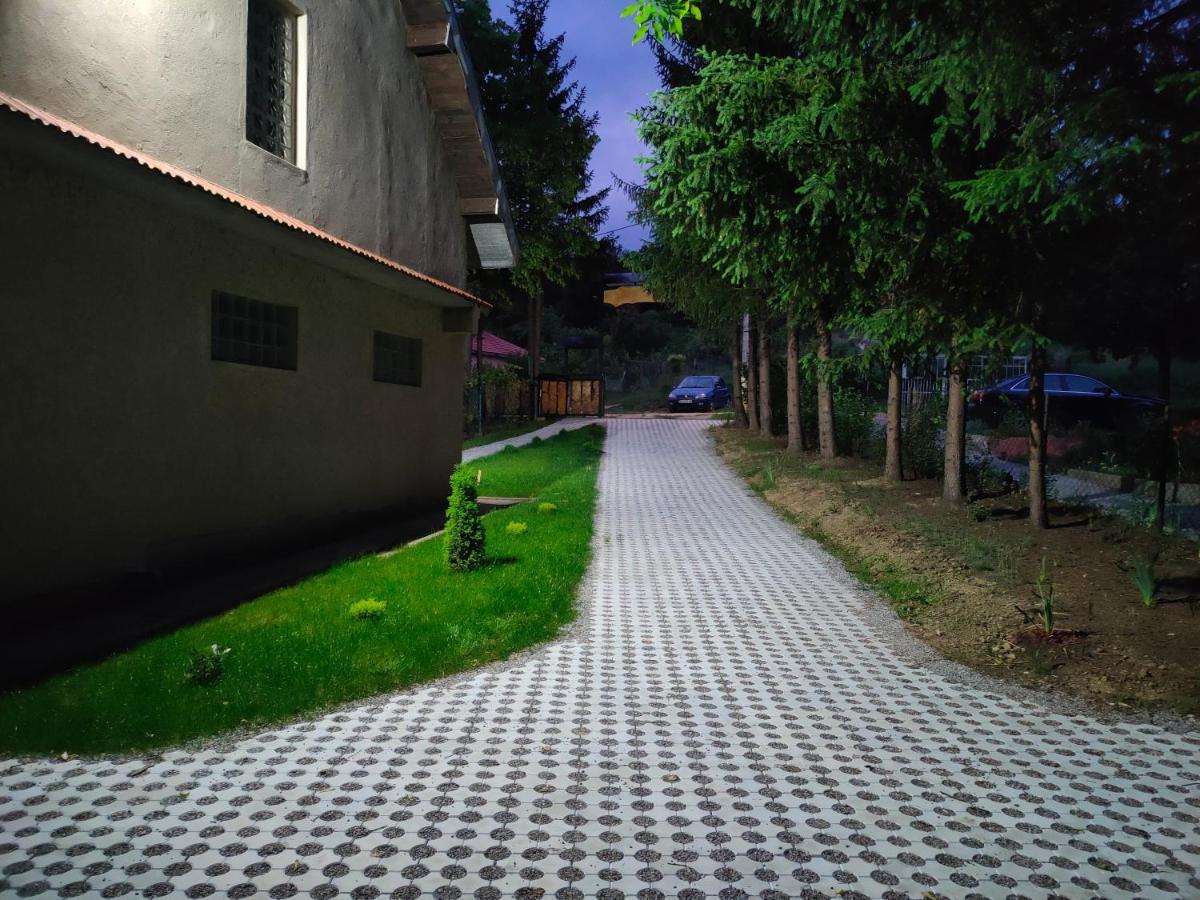 Vila Jezerski Raj Borsko Jezero מראה חיצוני תמונה
